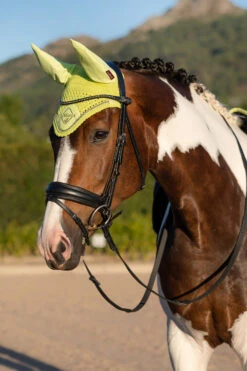 LeMieux Classic Fliegenohren 37 LeMieux Classic Fliegenohren -Reitsportbedarf 338077 SLGR 02