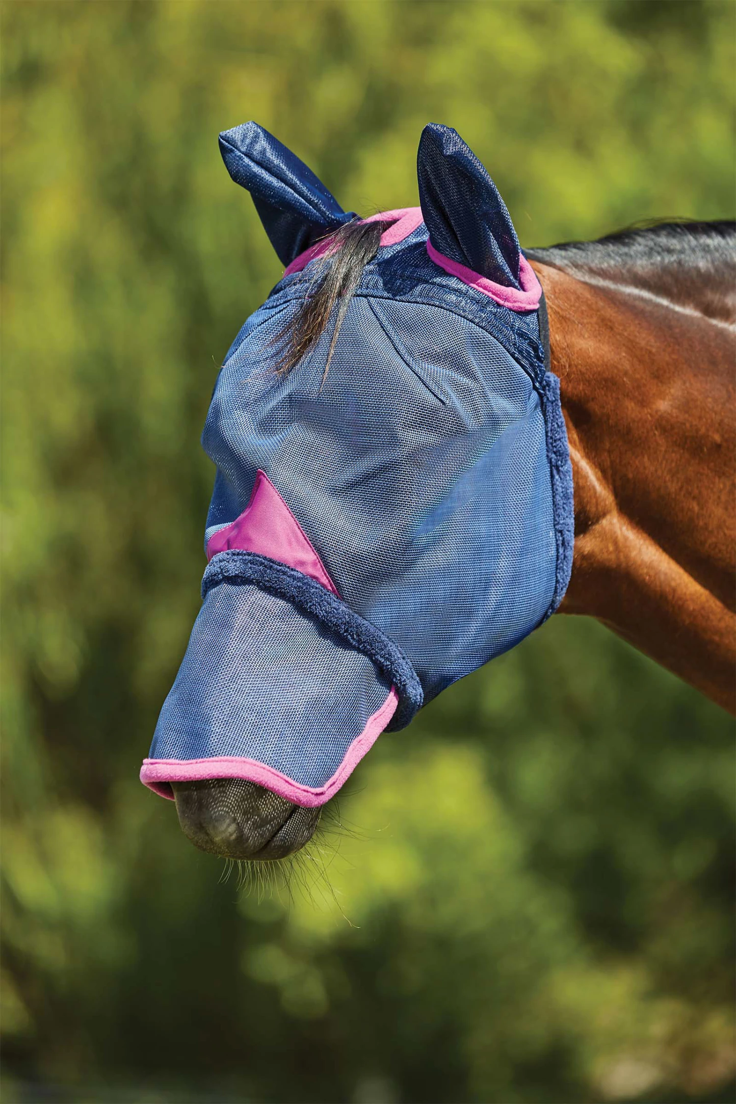 Weatherbeeta Comfitec Deluxe Durable Mesh Maske Mit Ohren Und Nüstern 2 Weatherbeeta Comfitec Deluxe Durable Mesh Maske Mit Ohren Und Nüstern – Bild 2
