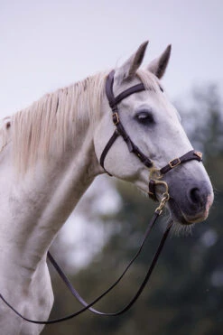 F.R.A. Imperial Hackamore Zaum, Shire 7 F.R.A. Imperial Hackamore Zaum, Shire -Reitsportbedarf 340177 BR 2