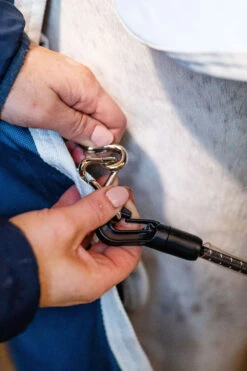 Horseware AmEco Liner, 100g 15 Horseware AmEco Liner, 100g -Reitsportbedarf 340947 TE G 7