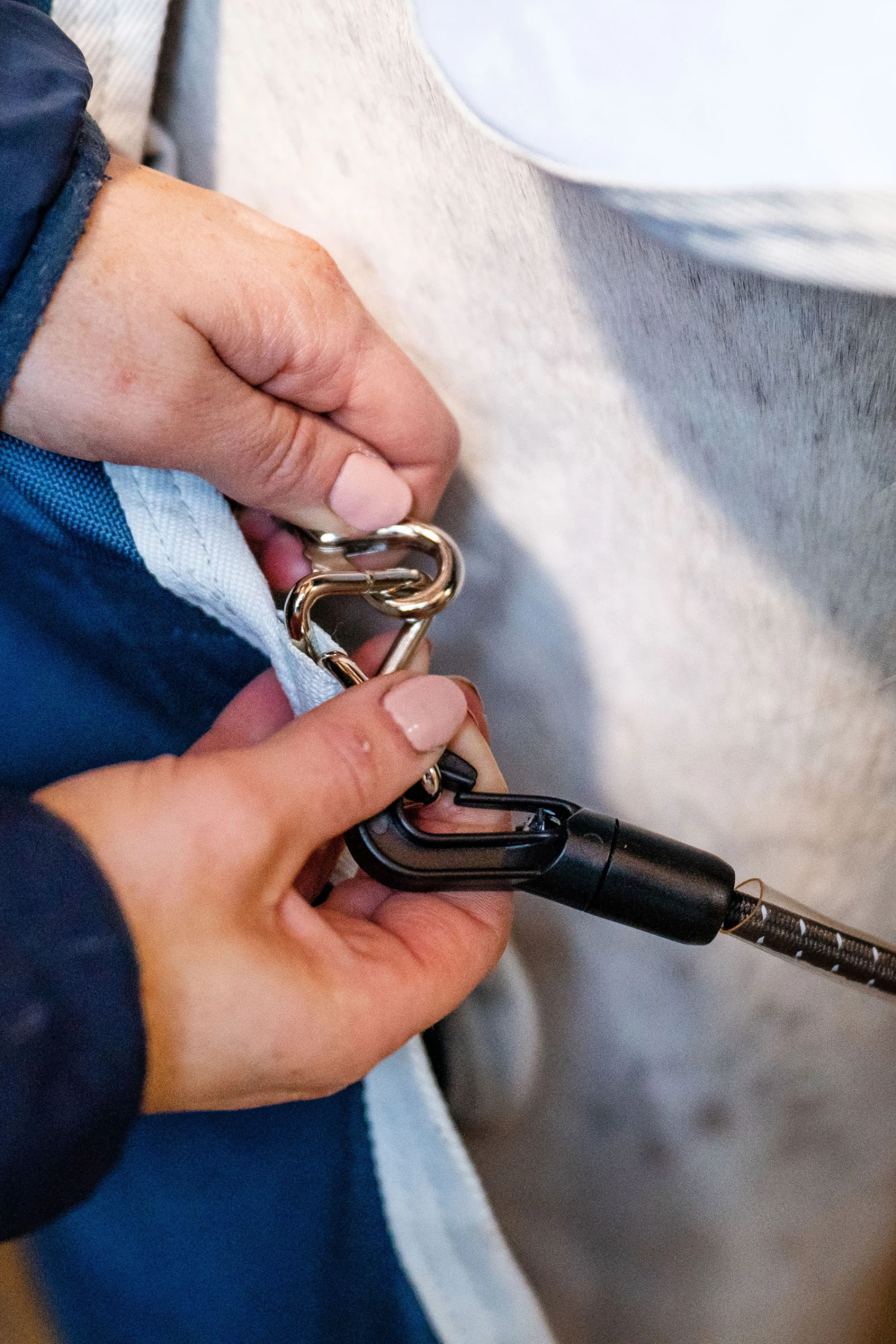 Horseware AmEco Liner, 100g 7 Horseware AmEco Liner, 100g – Bild 7