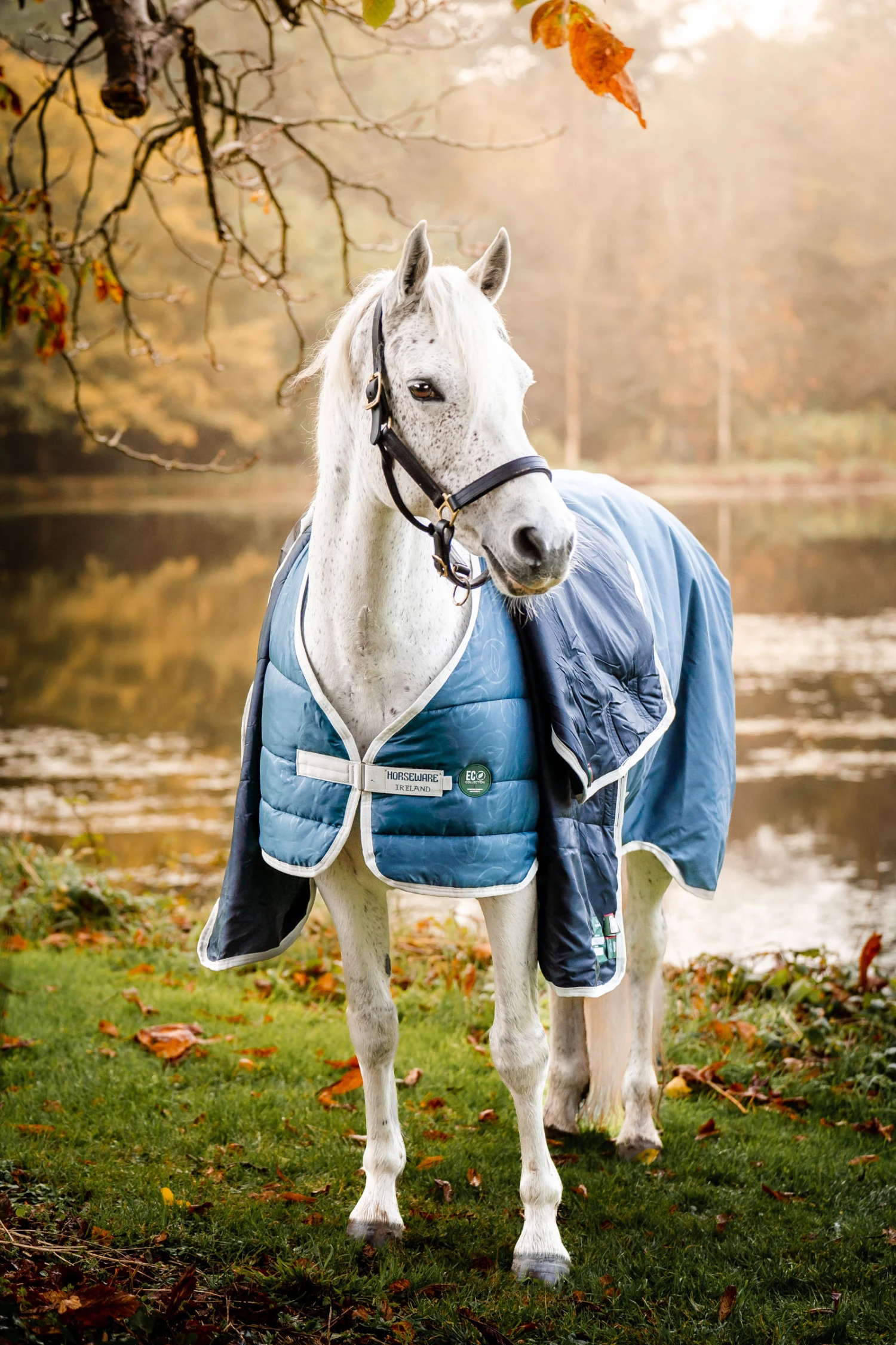 Horseware Eco Liner, 300g 2 Horseware Eco Liner, 300g – Bild 2