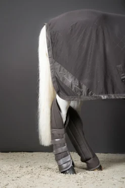 Eskadron Classic Sports FS22 Aerial Jersey Abschwitzdecke 8 Eskadron Classic Sports FS22 Aerial Jersey Abschwitzdecke -Reitsportbedarf 341070 FSBR 3