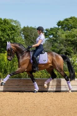 LeMieux Classic Fleece Bandagen -Reitsportbedarf 342145 WLPU 02