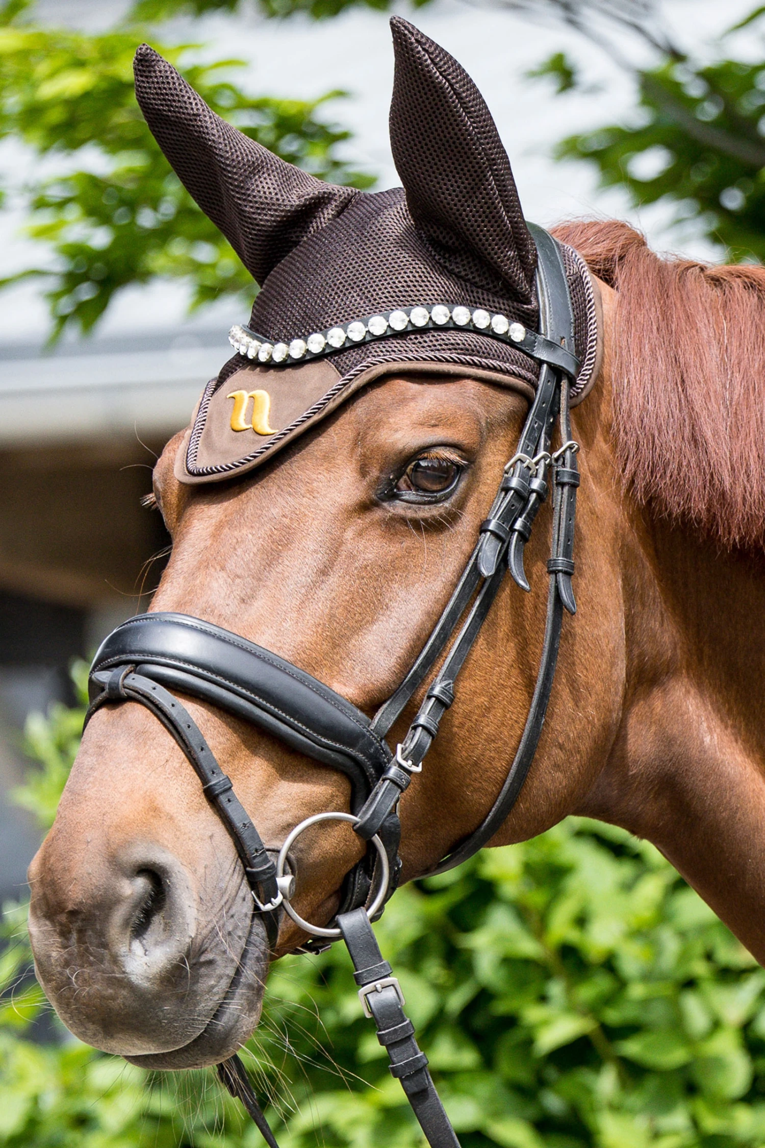 Back On Track Airflow Fliegenhaube 6 Back On Track Airflow Fliegenhaube – Bild 6