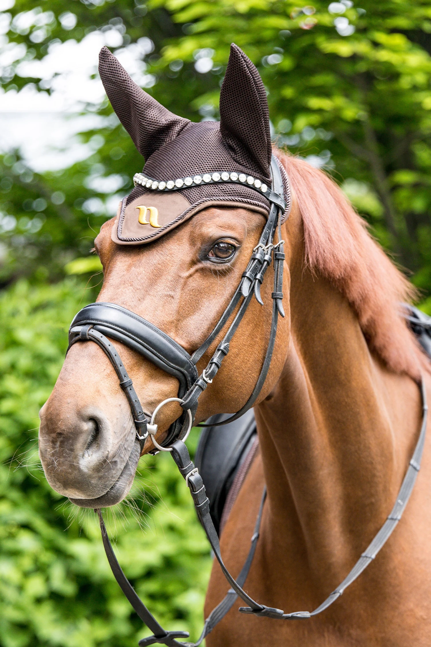 Back On Track Airflow Fliegenhaube 7 Back On Track Airflow Fliegenhaube – Bild 7