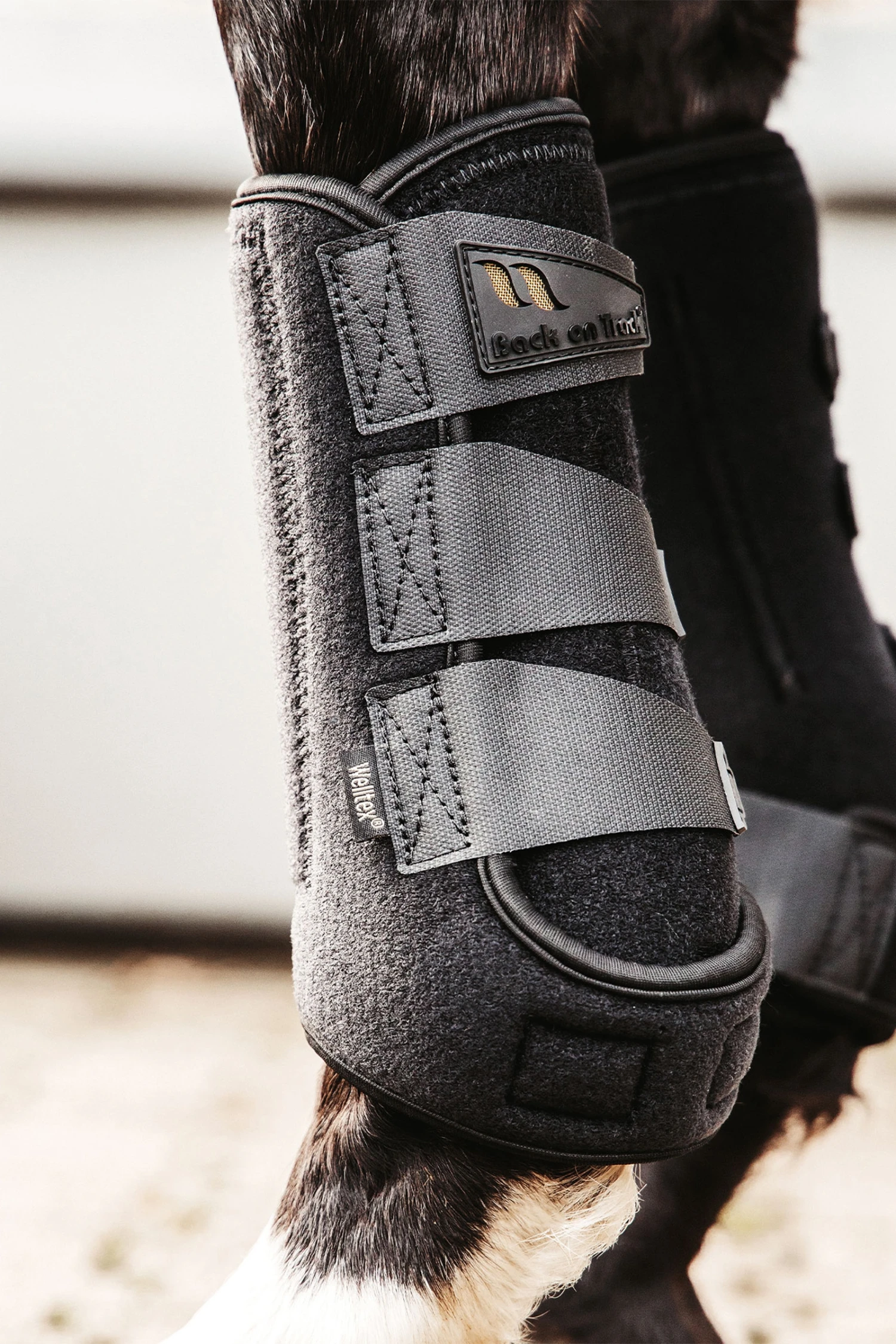 Back On Track Airflow Trainingsgamaschen 15 Back On Track Airflow Trainingsgamaschen – Bild 15