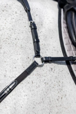 LeMieux Vorderzeug Mit Abnehmbarem Martingal 9 LeMieux Vorderzeug Mit Abnehmbarem Martingal -Reitsportbedarf 342208 BL 3