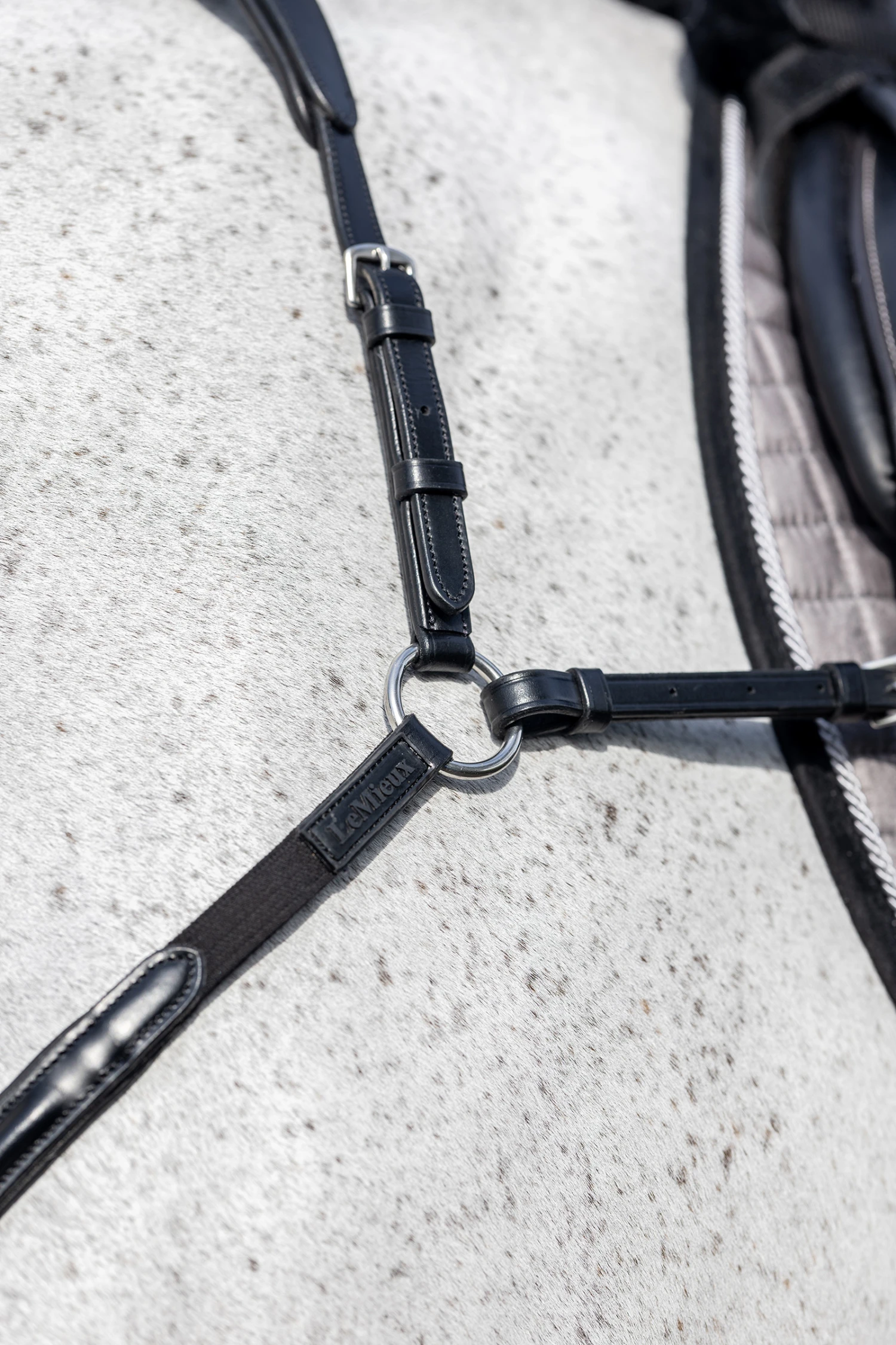 LeMieux Vorderzeug Mit Abnehmbarem Martingal 3 LeMieux Vorderzeug Mit Abnehmbarem Martingal – Bild 3