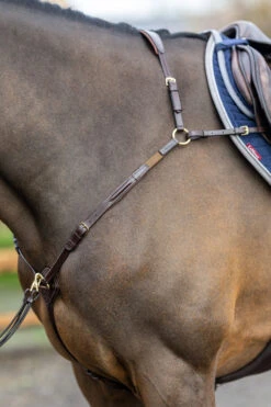 LeMieux Vorderzeug Mit Abnehmbarem Martingal 13 LeMieux Vorderzeug Mit Abnehmbarem Martingal -Reitsportbedarf 342208 HVBR 4