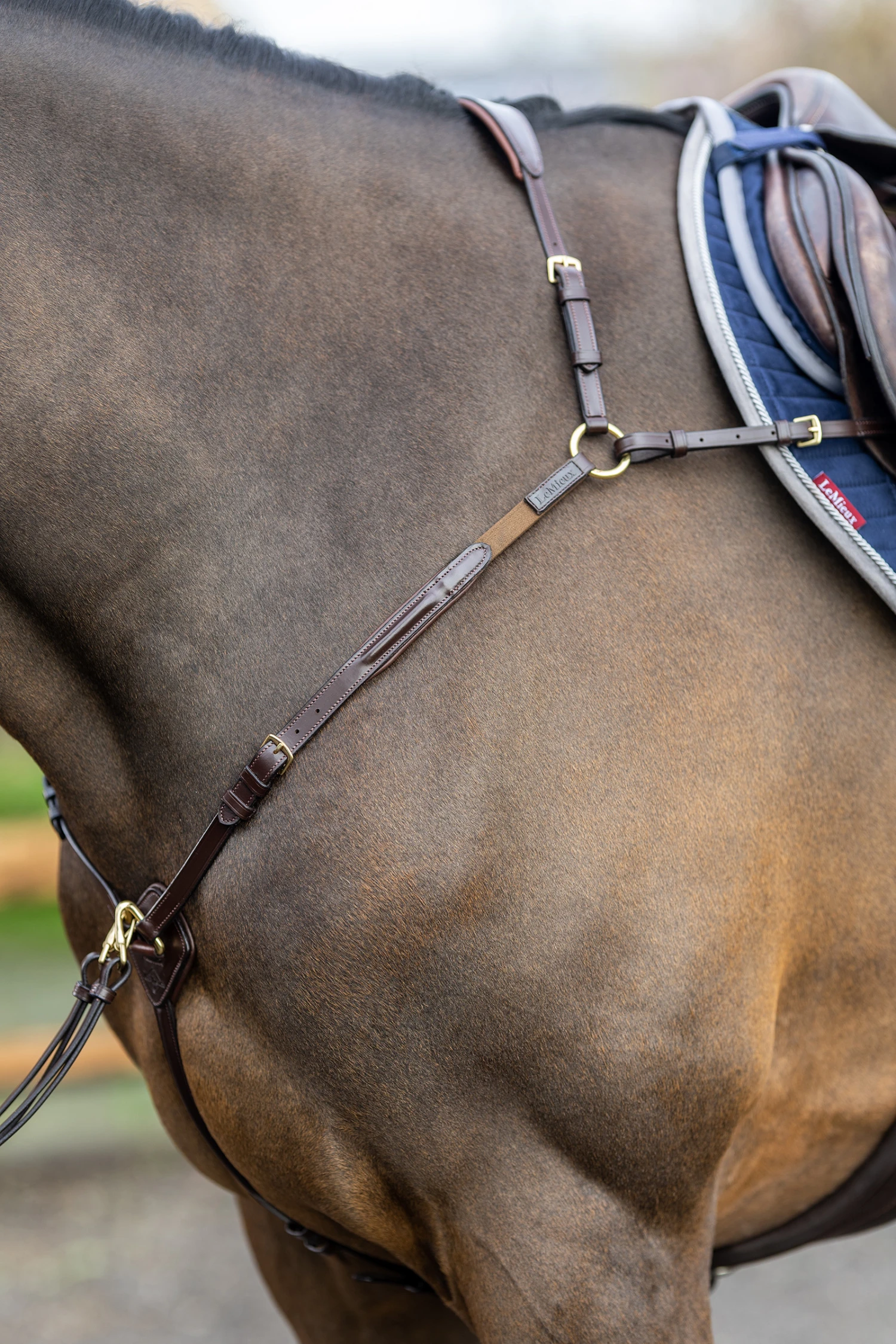 LeMieux Vorderzeug Mit Abnehmbarem Martingal 7 LeMieux Vorderzeug Mit Abnehmbarem Martingal – Bild 7