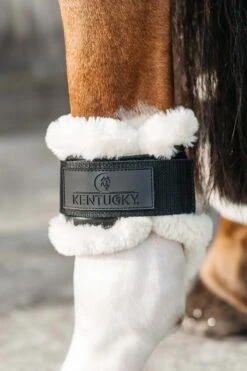 Kentucky Horsewear Vegane Lammfell Streichkappen Für Jungpferde -Reitsportbedarf 342512 BL 3