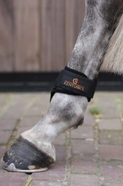 Kentucky Horsewear Jungpferde Streichkappe -Reitsportbedarf 342513 BL 3