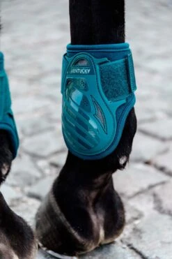 Kentucky Horsewear Jungpferde Streichkappe -Reitsportbedarf 342513 EGR 2