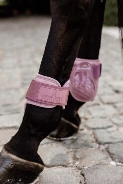 Kentucky Horsewear Jungpferde Streichkappe -Reitsportbedarf 342513 ORPI 3