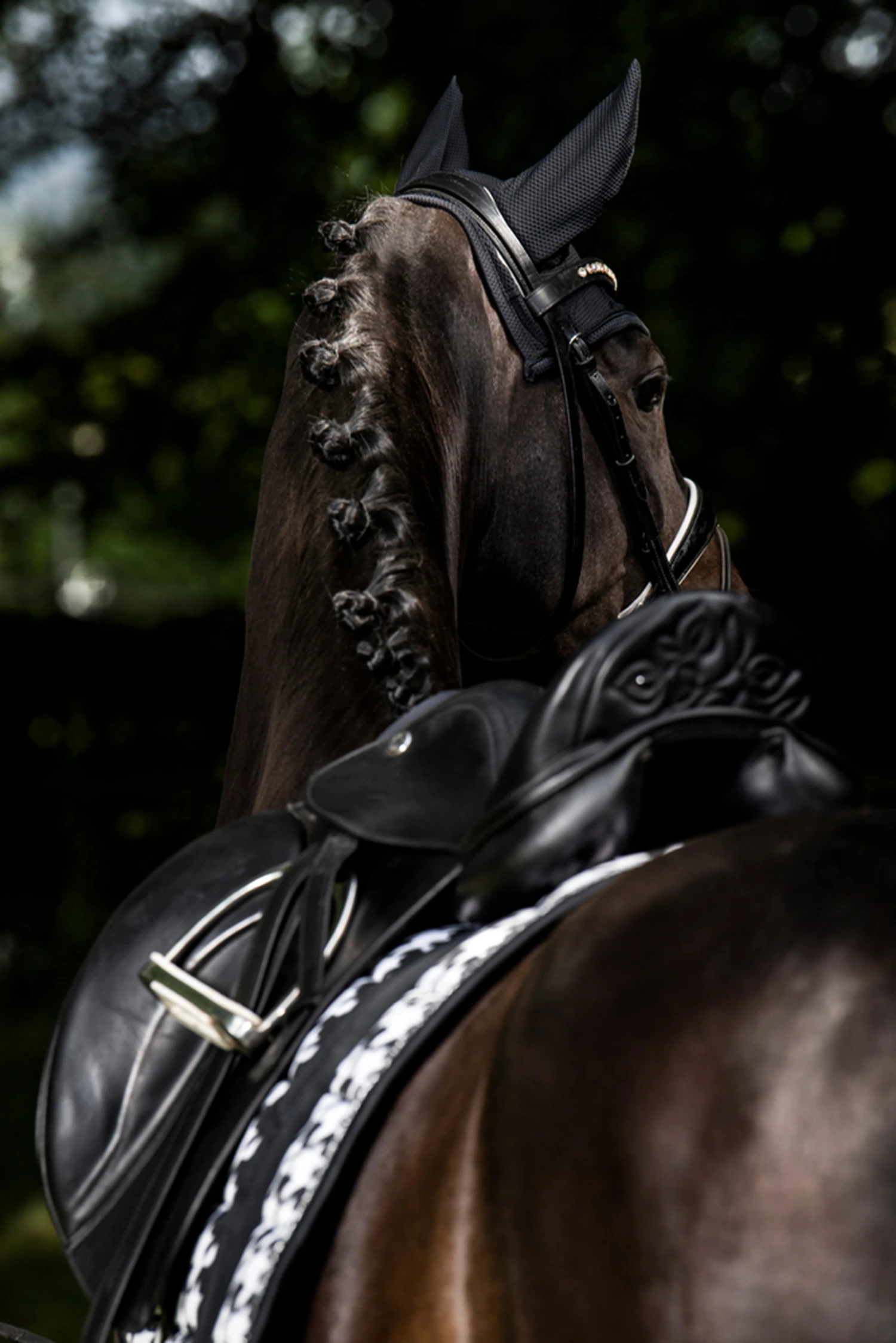 Eskadron Essence 22/23 Big Square Glossy Dressurschabracke 3 Eskadron Essence 22/23 Big Square Glossy Dressurschabracke – Bild 3