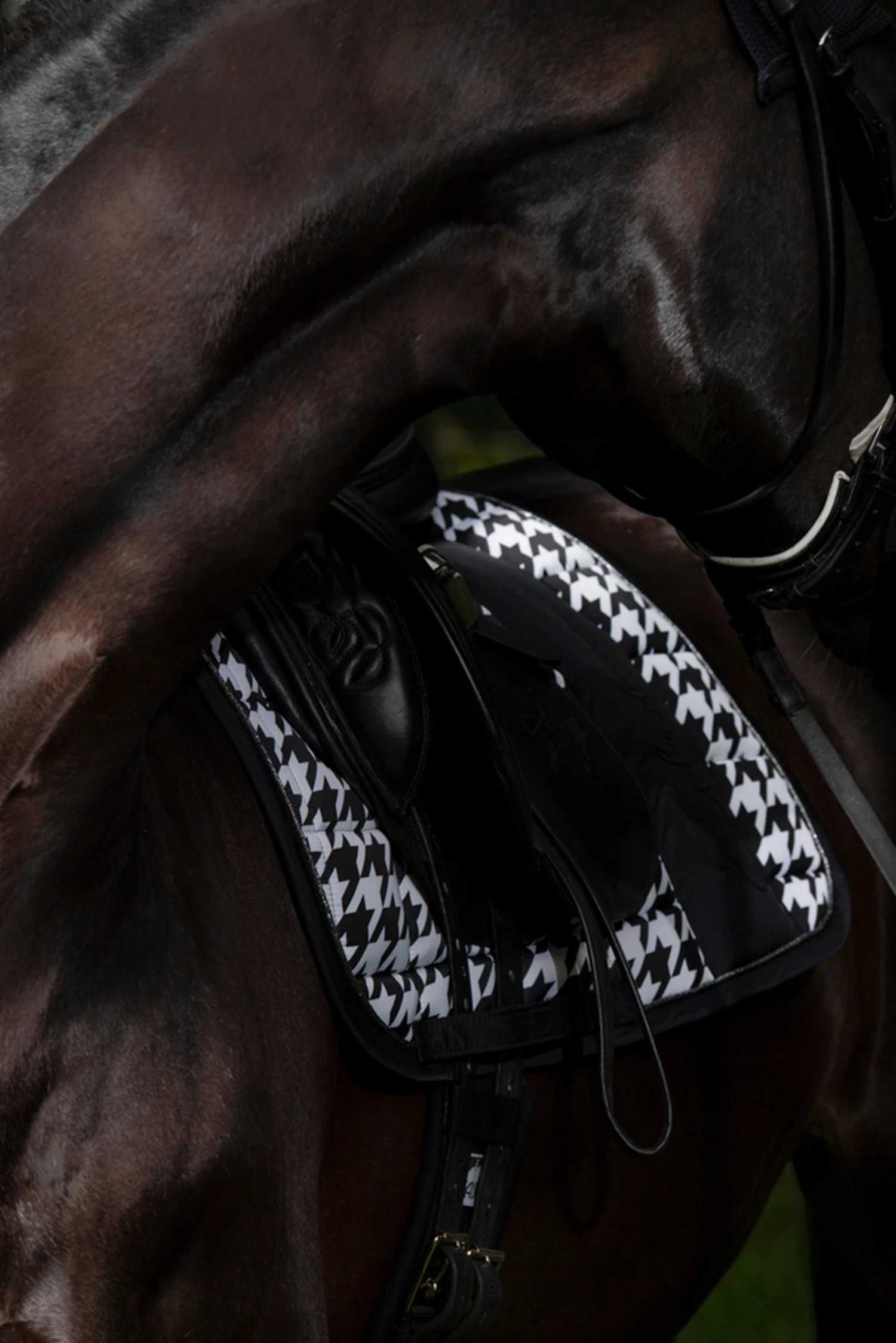 Eskadron Essence 22/23 Big Square Glossy Dressurschabracke 5 Eskadron Essence 22/23 Big Square Glossy Dressurschabracke – Bild 5