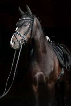 Eskadron Essence 22/23 Glitter Mesh Sport Fliegenhaube -Reitsportbedarf 342557 DOGR 2