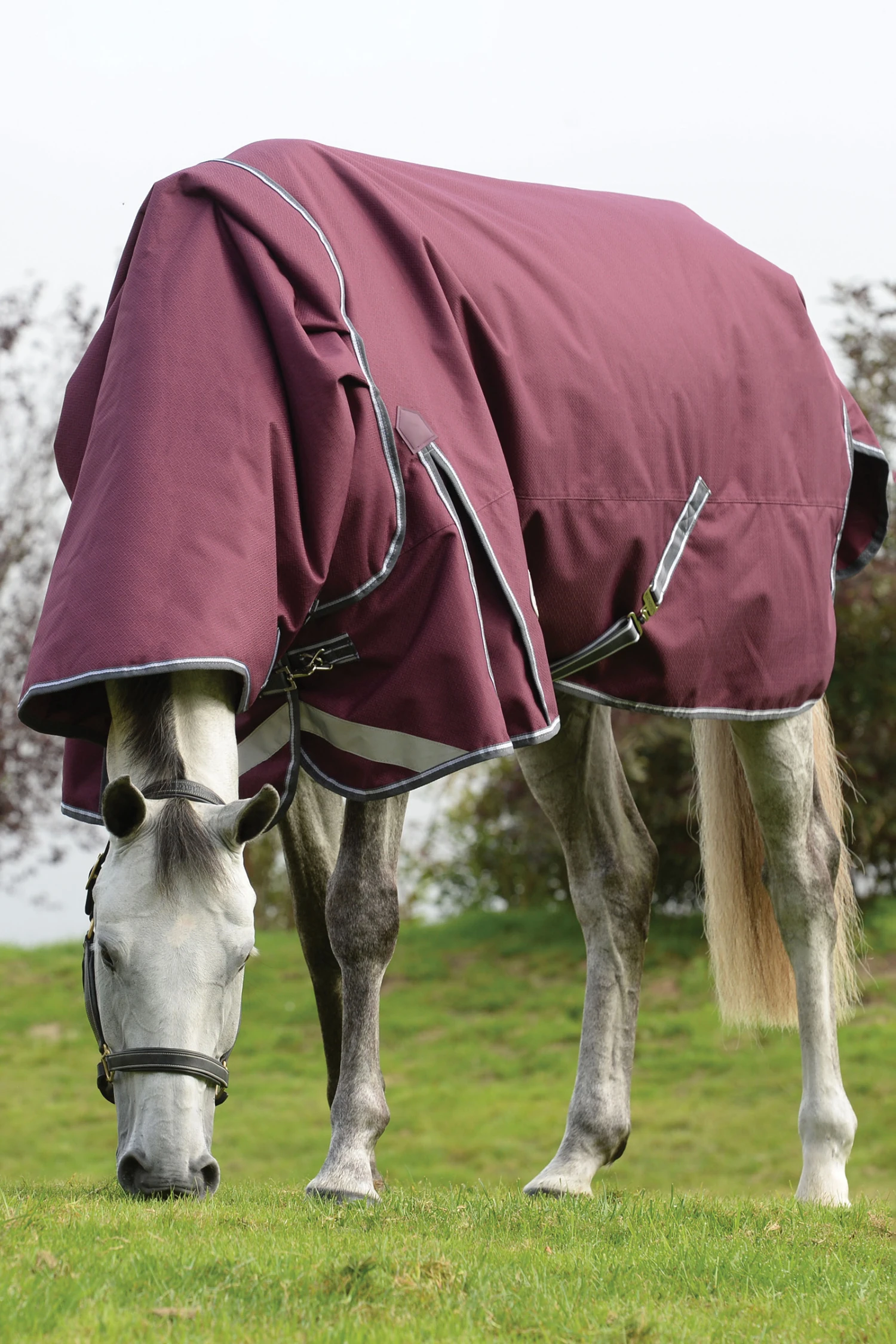 Weatherbeeta Comfitec Plus Dynamic II Detach-a-Neck Weidedecke Mit Abnehmbarem Halsteil, 360g 2 Weatherbeeta Comfitec Plus Dynamic II Detach-a-Neck Weidedecke Mit Abnehmbarem Halsteil, 360g – Bild 2