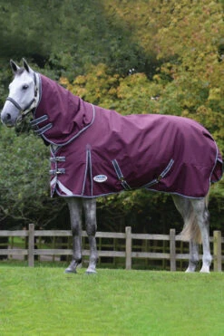 Weatherbeeta Comfitec Plus Dynamic II Detach-a-Neck Weidedecke Mit Abnehmbarem Halsteil, 360g 5 Weatherbeeta Comfitec Plus Dynamic II Detach-a-Neck Weidedecke Mit Abnehmbarem Halsteil, 360g -Reitsportbedarf 343119 DRE G 3