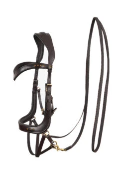 F.R.A. Glory Gebisslose Trense (System 4) Kinn Gekreuzt -Reitsportbedarf 343445 BR 2
