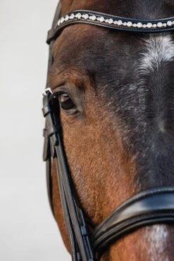 Schockemöhle Milton Anatomische Kandare 6 Schockemöhle Milton Anatomische Kandare -Reitsportbedarf 343547 BL SI 3