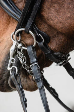 Schockemöhle Milton Anatomische Kandare 7 Schockemöhle Milton Anatomische Kandare -Reitsportbedarf 343547 BL SI 4