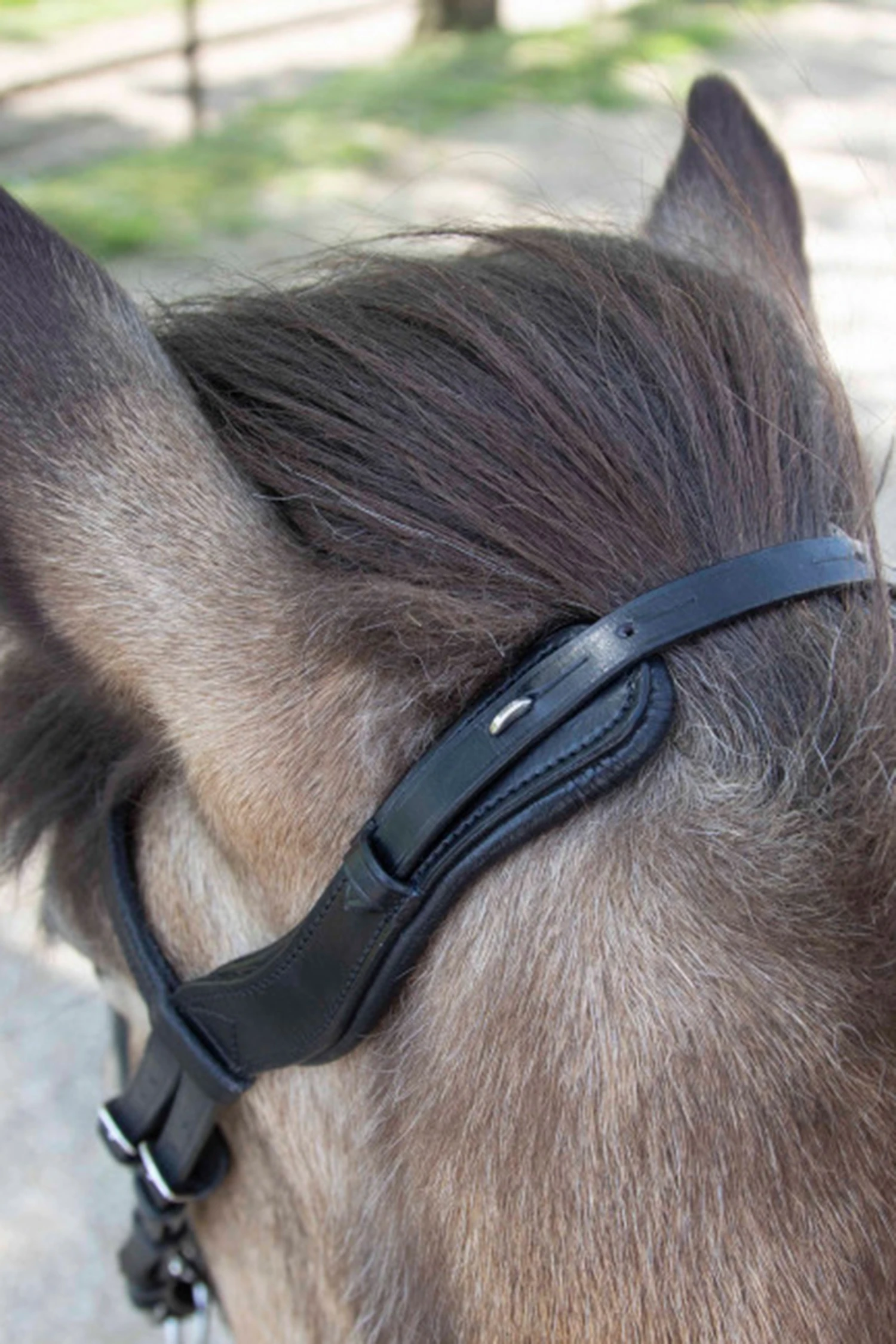 Waldhausen Anatomic Island Trensenzaum 4 Waldhausen Anatomic Island Trensenzaum – Bild 4