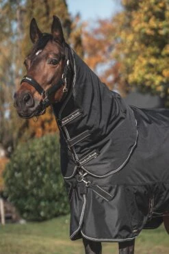 Back On Track Obsidian Weidedecke, 0g -Reitsportbedarf 345230 BL 12