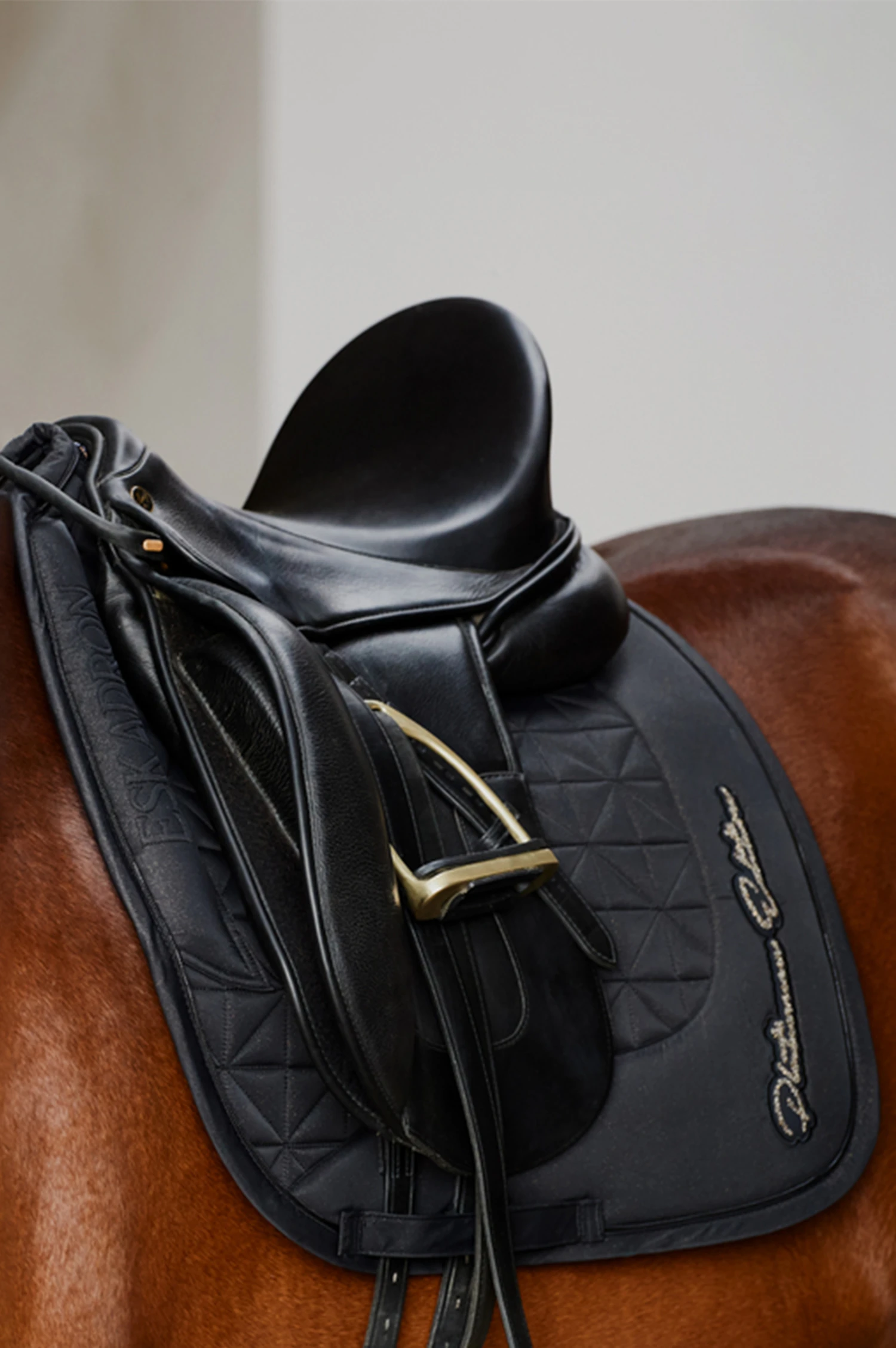 Eskadron Platinum 23 Sparkle Avantgarde Dressurschabracke 2 Eskadron Platinum 23 Sparkle Avantgarde Dressurschabracke – Bild 2