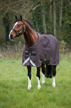Horseware Amigo Bravo 12 Winterdecke, 250g 7 Horseware Amigo Bravo 12 Winterdecke, 250g -Reitsportbedarf 922496 BR OWH 1
