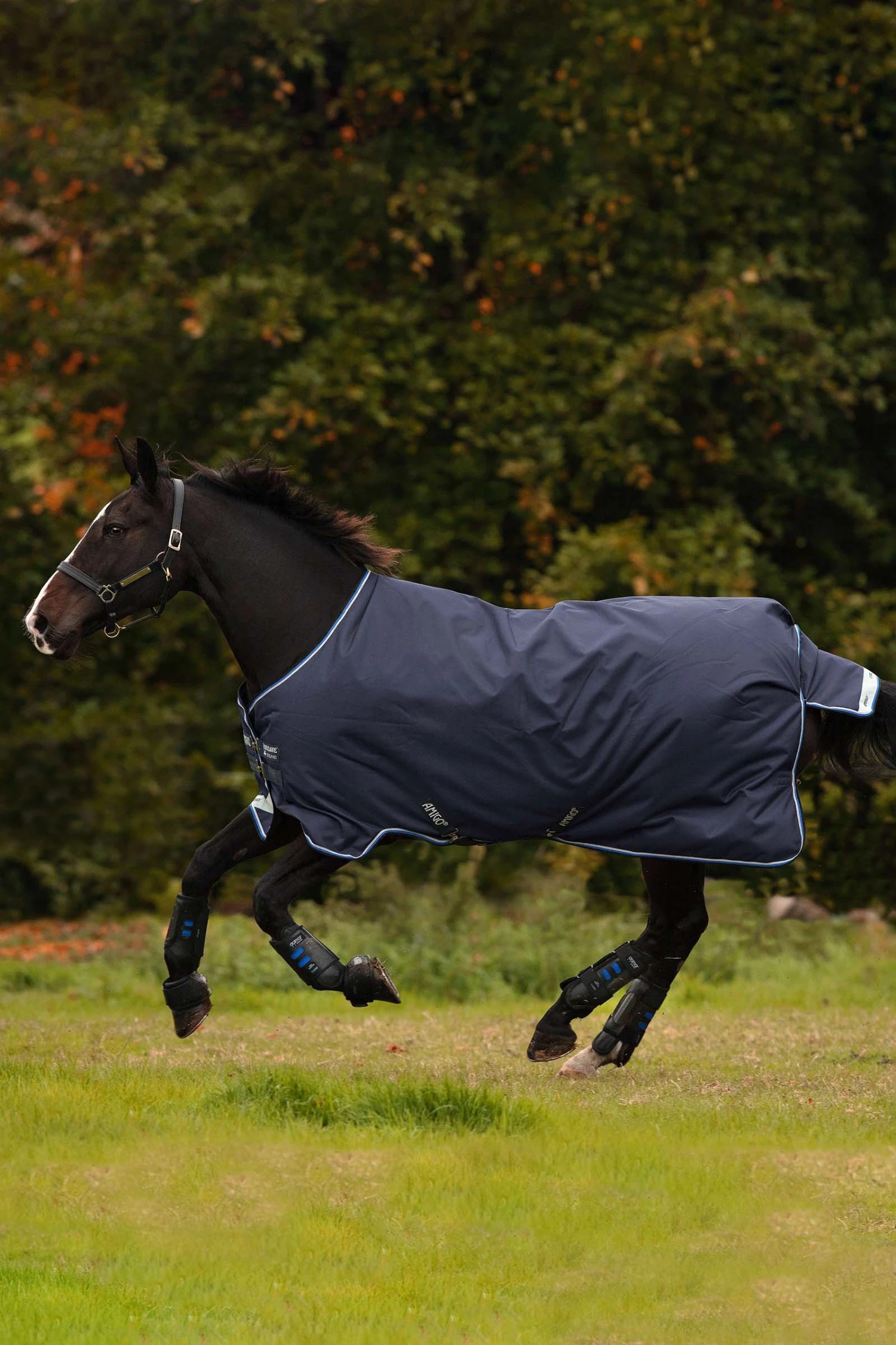 Horseware Amigo Bravo 12 Winterdecke, 250g 1 Horseware Amigo Bravo 12 Winterdecke, 250g