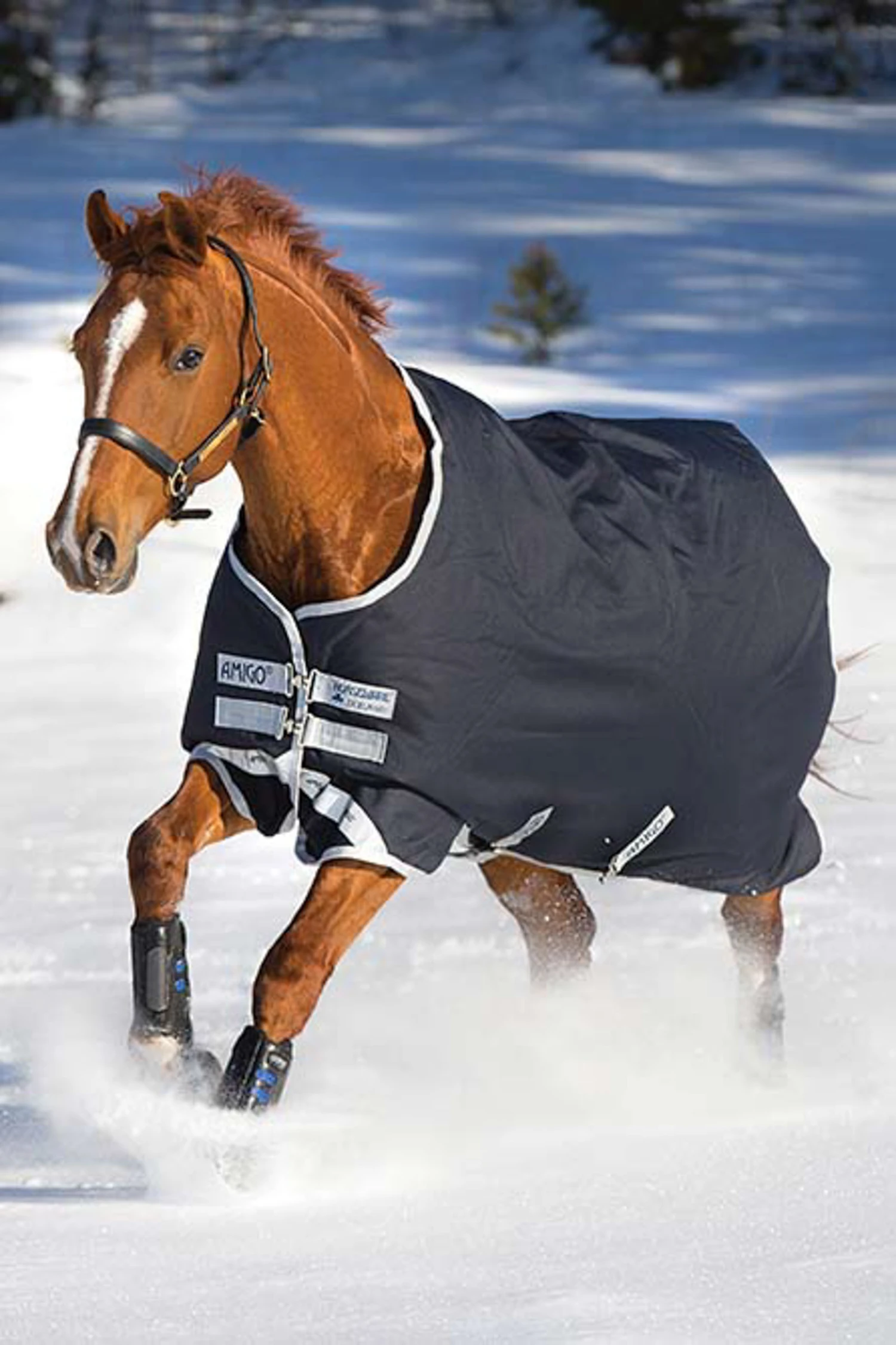 Horseware Amigo Bravo 12 Winterdecke, 250g 2 Horseware Amigo Bravo 12 Winterdecke, 250g – Bild 2