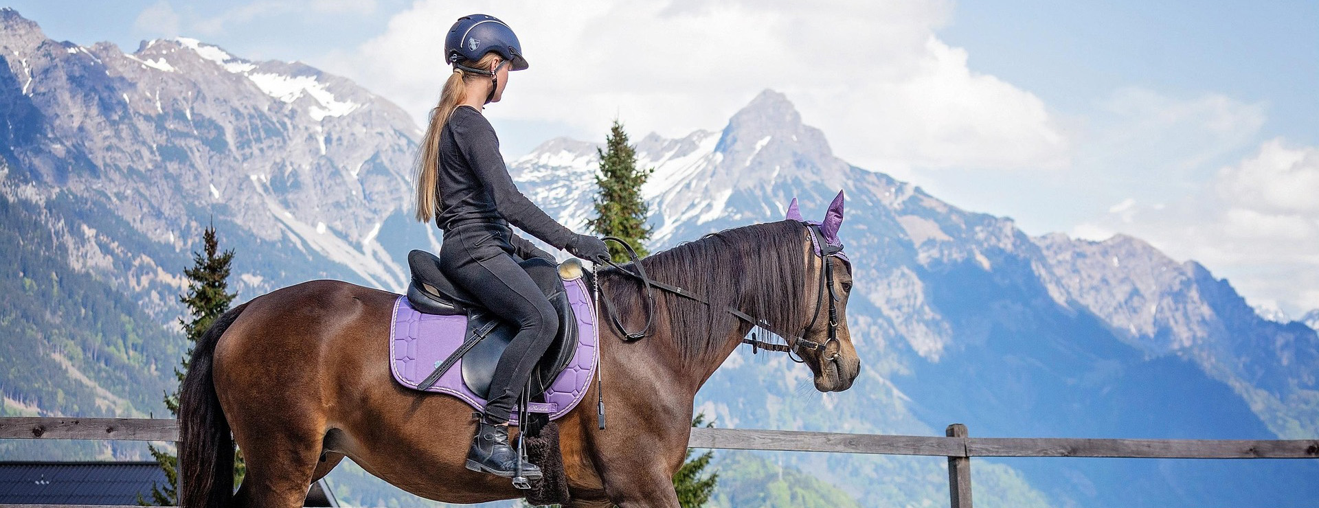 Titelseite -Reitsportbedarf horse 6123173 1920